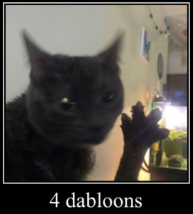 Dabloons cat